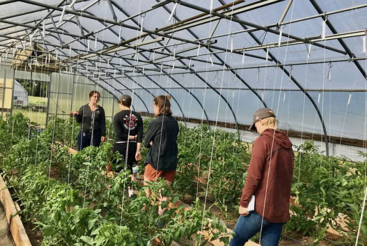 four people walking through a greenhouse