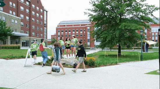Student advocats dance on top of a bolder