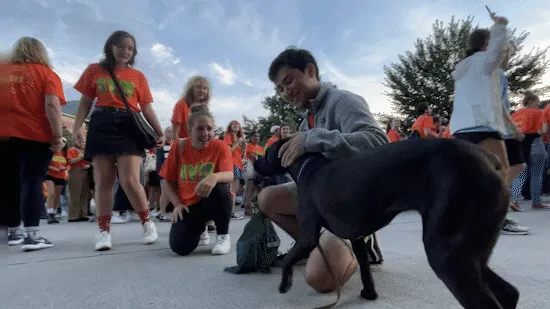 Students distracted by a dog and petting it.