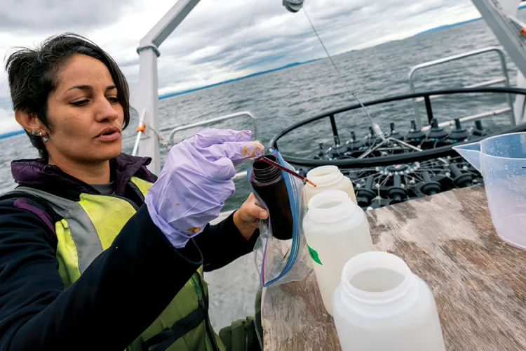 a researcher tests liquid samples on the deck of a boat