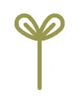 green line icon of seed