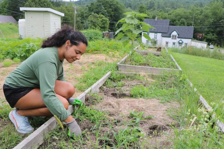 Woman working in garden bed