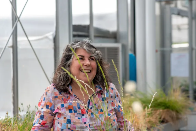 Jane Molofsky studies the functional traits of invasive plants