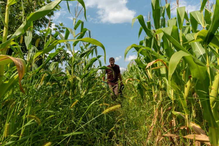 Joshua Brown leads UVM's climate adaptation program for Extension