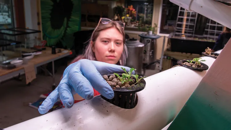 a student places a plant in front of the camera