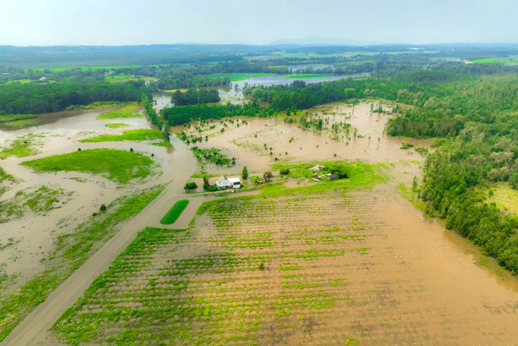 Flooded Middelbury farm