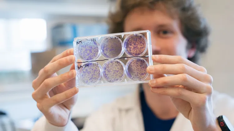A student researcher holds up petri dishes in a lab