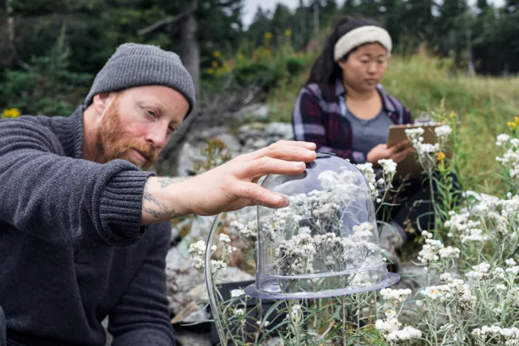 Sarah Socia and OVR Technology CEO Aaron Wisniewski are wildflower aroma