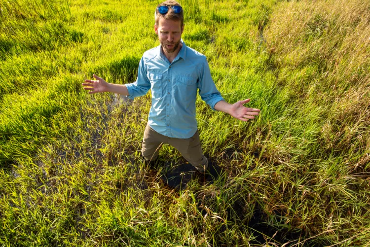 Eric Roy stands in grassy wetlands.