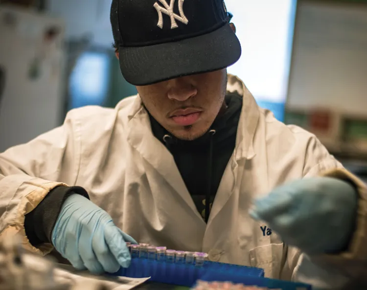 Person wearing a lab coat filling a lab tray, wearing a New York Yankees baseball cap