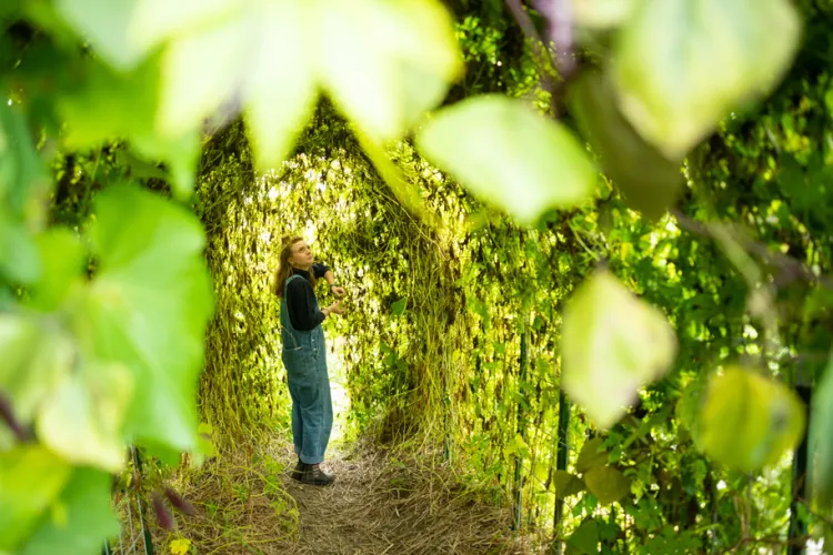 Evie Wolfe stands under a trellis