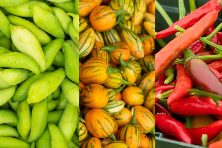 Collage of vegetables