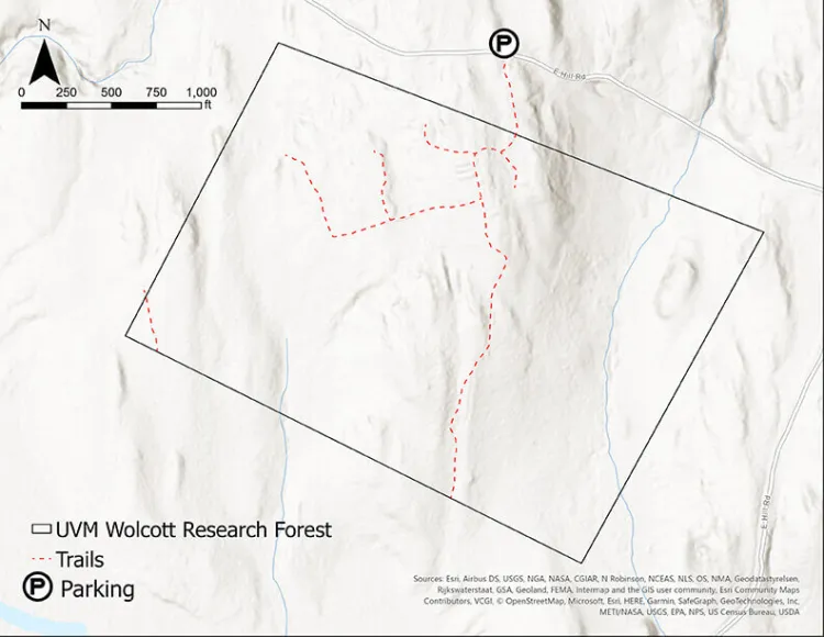 Map of the trails at Walcott Research Forest