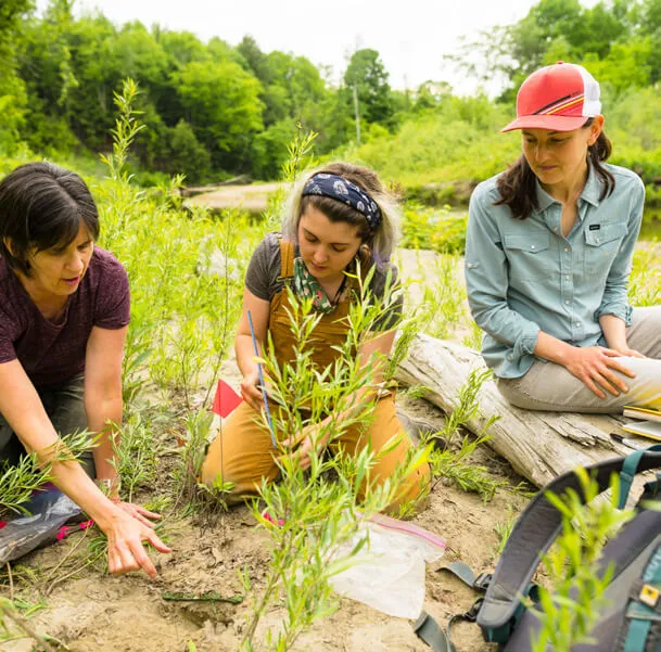 WRI Planetary Health