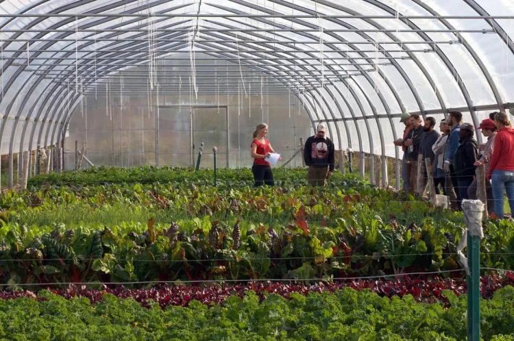 Students learning in a greenhouse