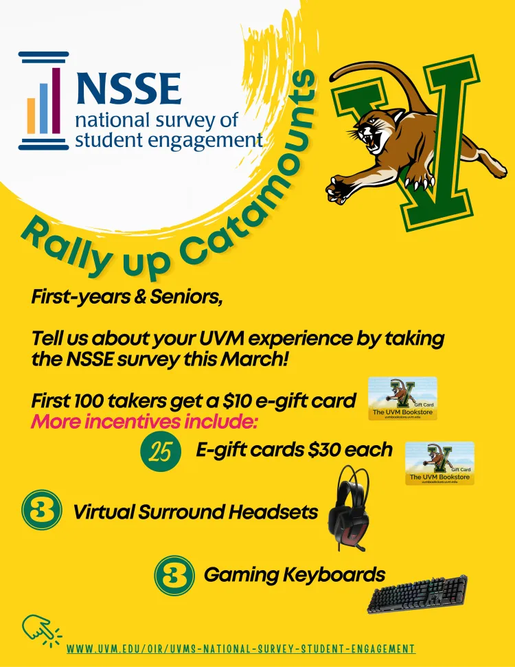 NSSE Flyer