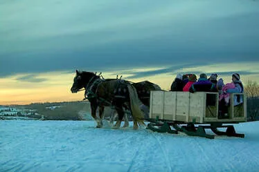 horses pulling a cart with tourists, in the snow at sunset