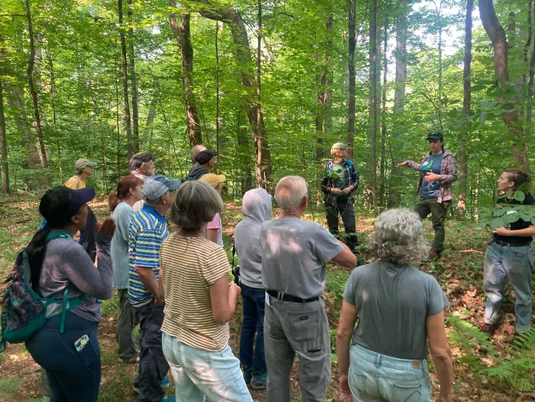 Talks and Walks on UVMs Wild Side