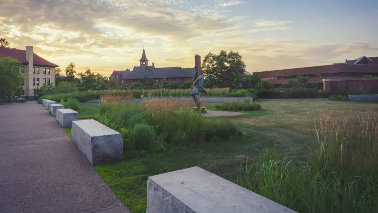 native vegetation atop Davis Center green roof