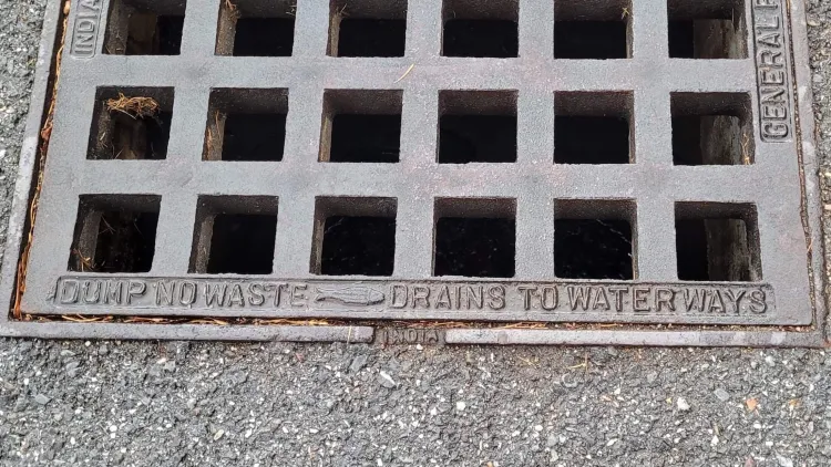 A traditional storm drain stamped with Dump No Waste message