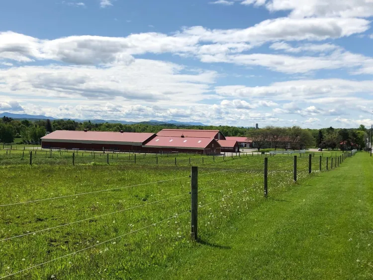 Coop Pasture