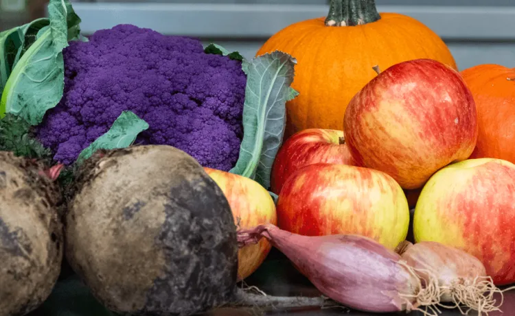 A variety of local produce including apples, beets, cauliflower, and pumpkins