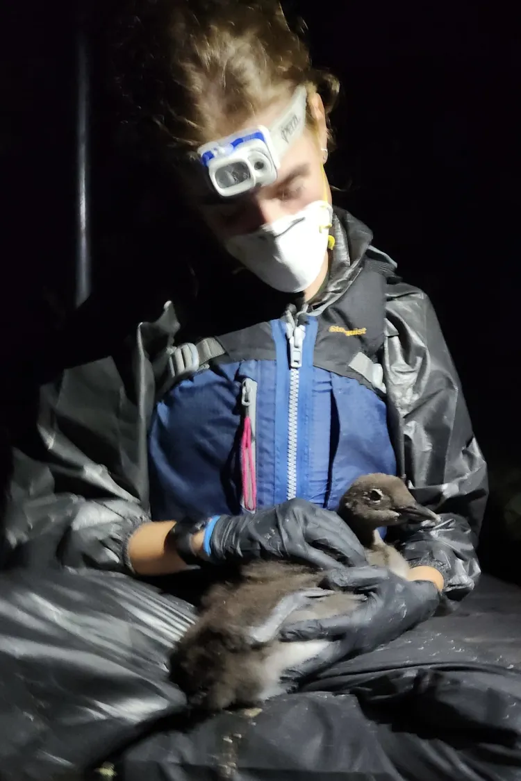 Lauren wearing a mask and dressed in waterproof clothing holding a loon