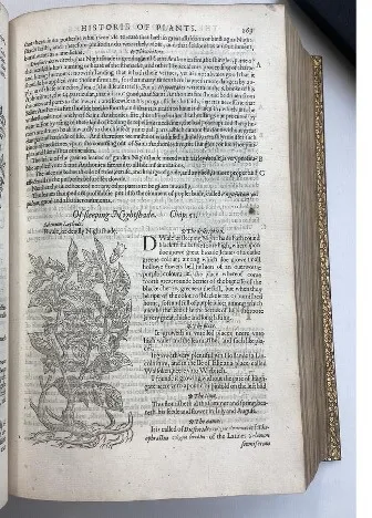 Open textbook