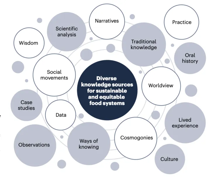 Diverse knowledge sources for sustainable and equitable food systems. Adapted with permission from ref. 12, Copyright © 2021 Global Alliance for the Future of Food.