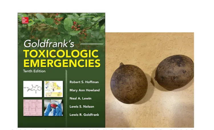 Book cover and example of seeds