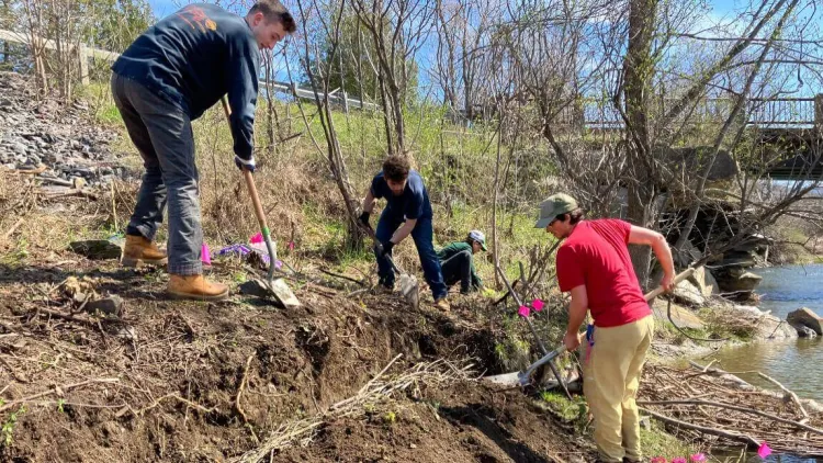 UVM students riverbank restoration