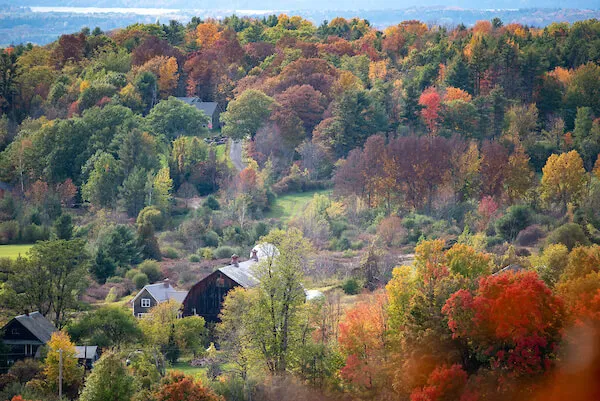 fall-forest-at-Raven-Ridge.Charlotte