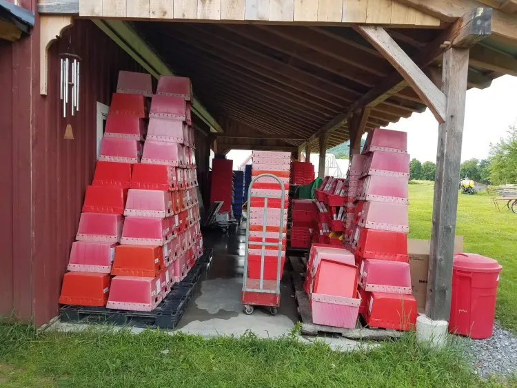huge collection of stacked plastic bins