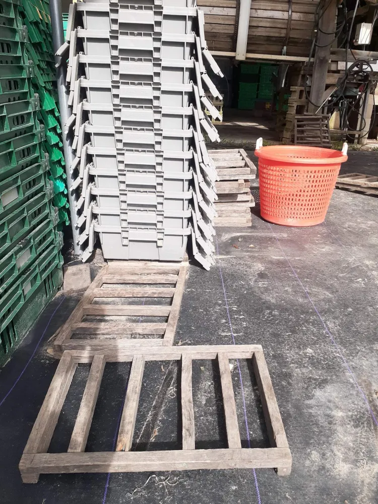 stacked plastic bins and wooden pallets