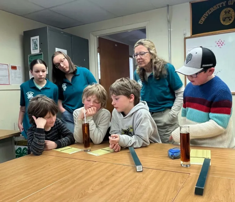 4-h'ers experimenting with maple syrup