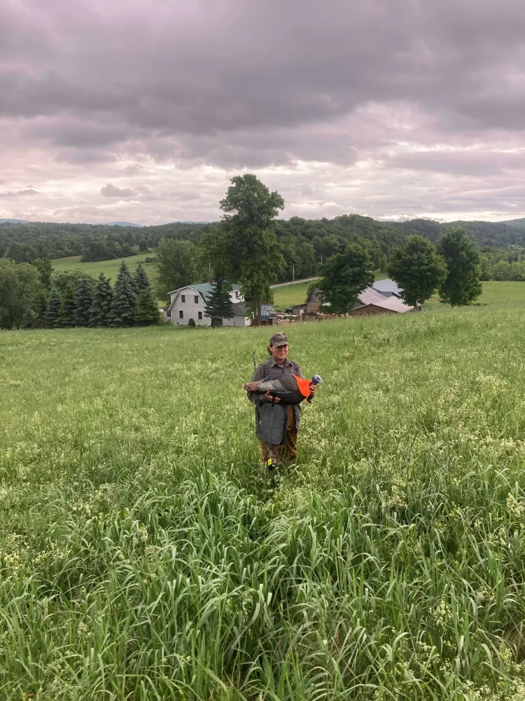 Krizzia in the field