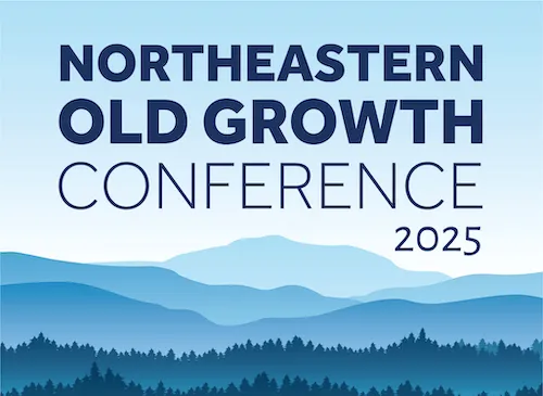 northeastern old growth conference 2025 logo