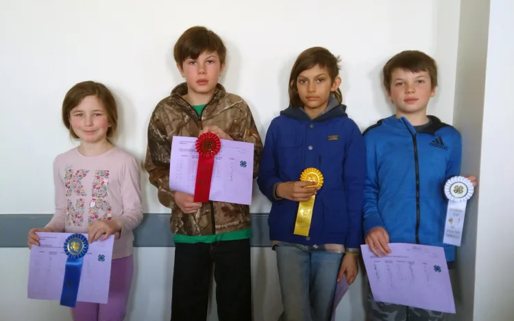 4 kids holding ribbons and certificates