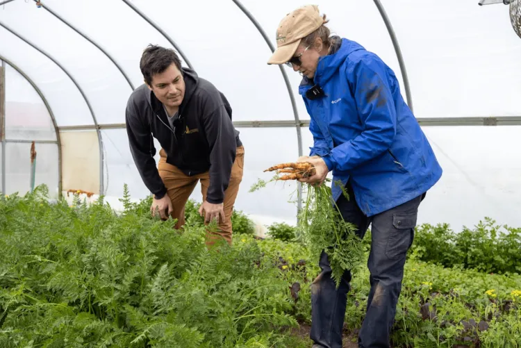 Man in a greenhouse tunnel helps a farmer who holds a carrot
