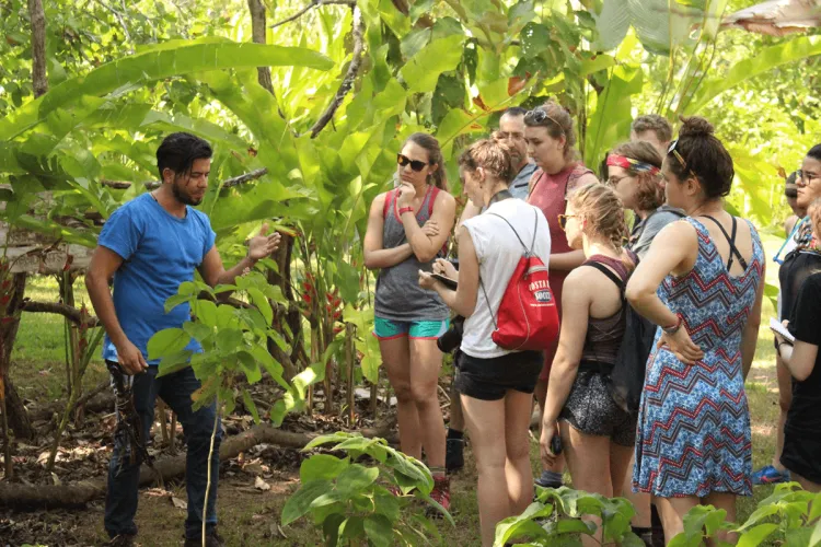 Students in the field in Costa Rica