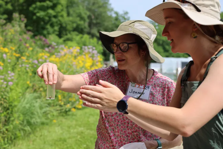 Leslie Spencer helping a farmer ID a wild bee