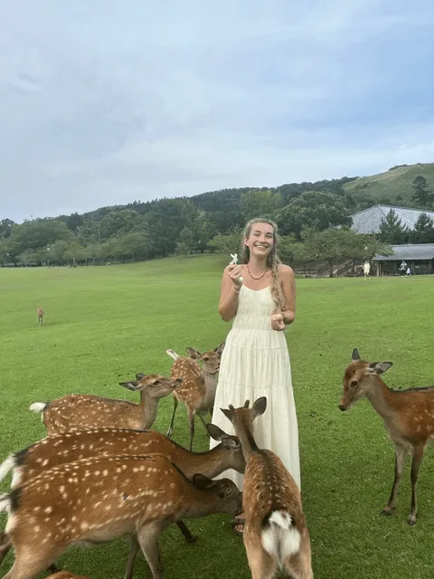 Woman surrounded by deer