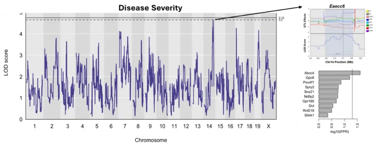 Graph of disease severity