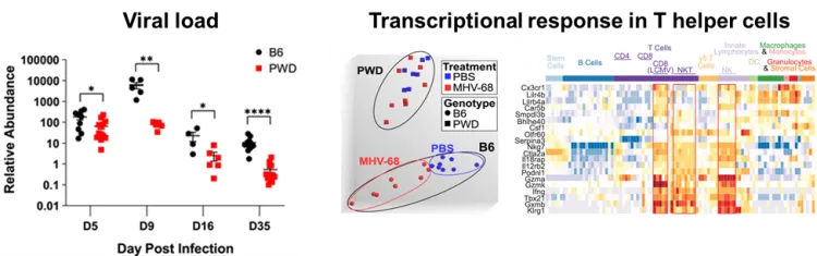 Graphs depicting host genetics
