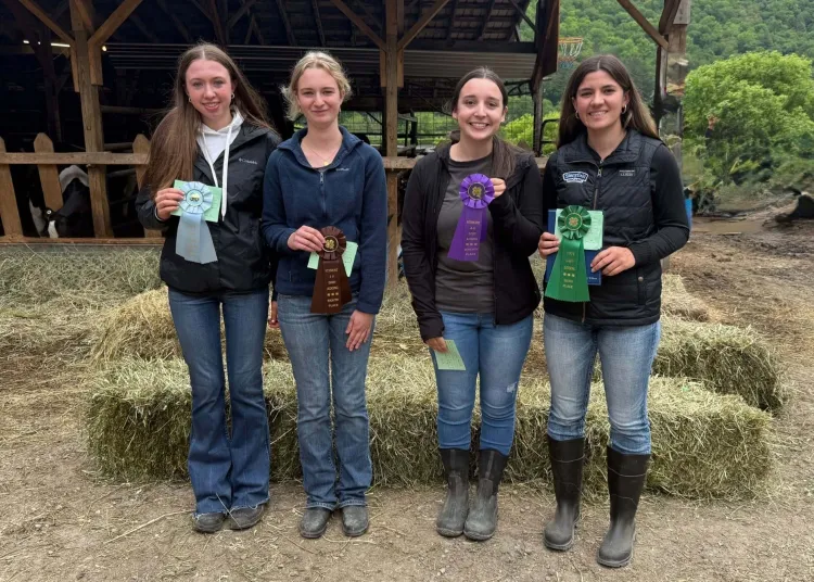 4 4-H'ers holding ribbons