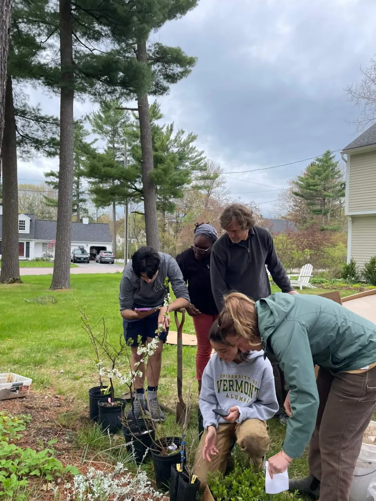 Students and faculty preparing a lawn conversion in Burlington