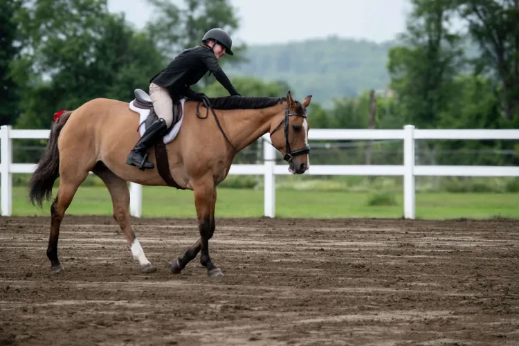 child riding a horse