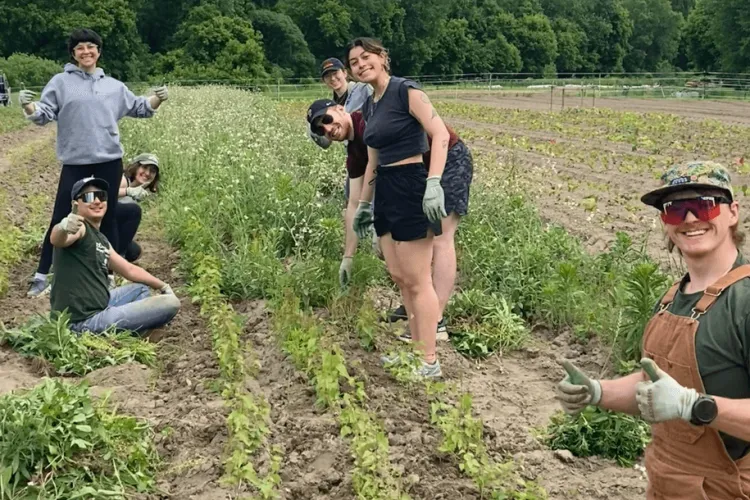 a group of people working in a field