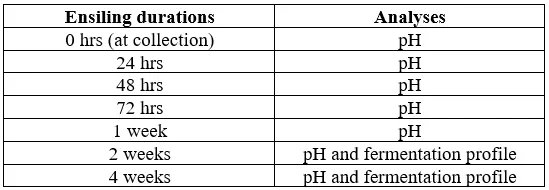 Ensiling Durations