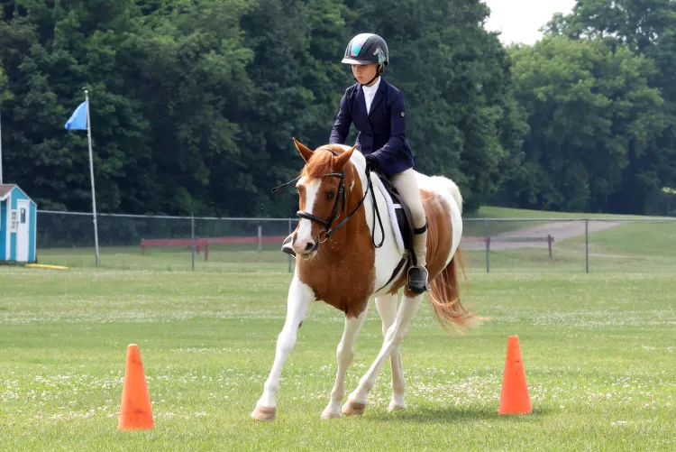 girl on a horse maneuvering around cones